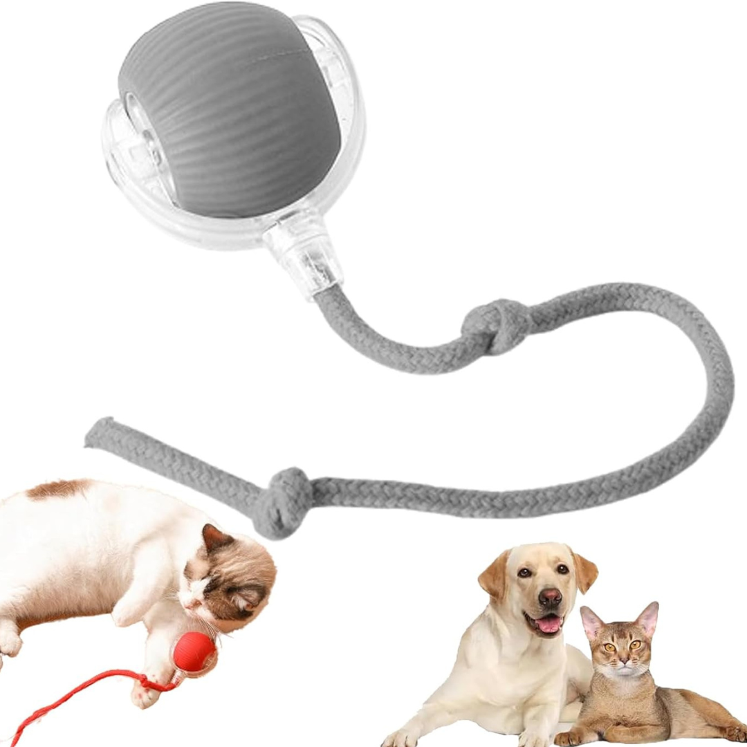 FurryFrenzy Interactive Pet Ball