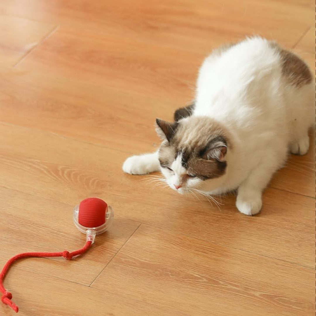 FurryFrenzy Interactive Pet Ball
