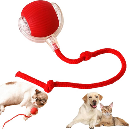 FurryFrenzy Interactive Pet Ball